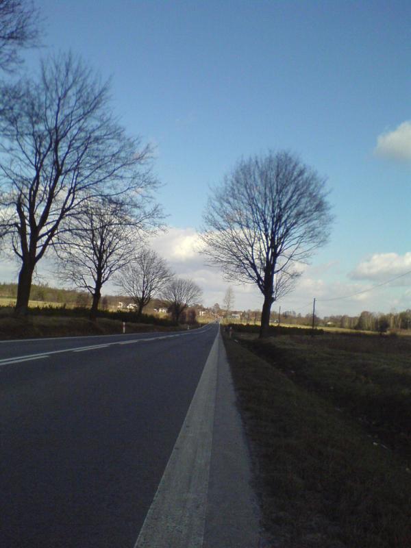 10387.jpg