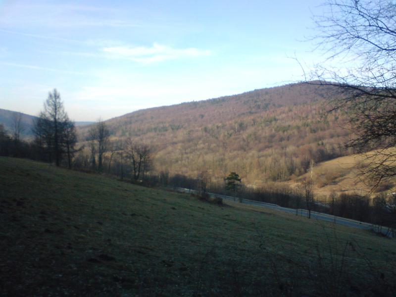 10545.jpg