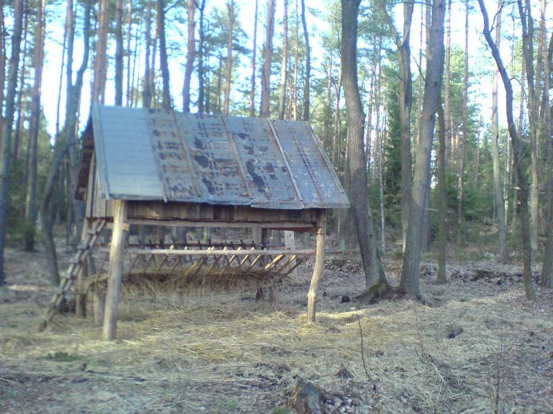 10568.jpg