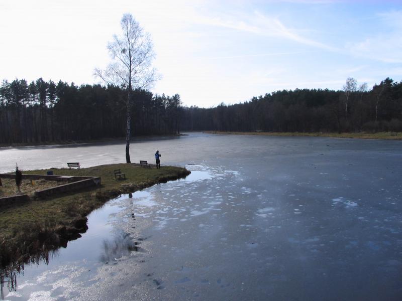rowerzysta, zalew, pniowiec