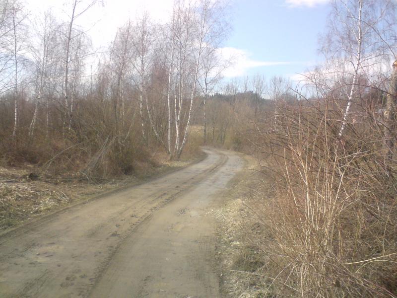 10644.jpg
