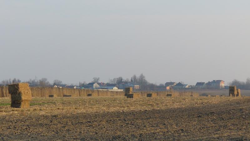 Pole w Dolinie Środkowej Utraty