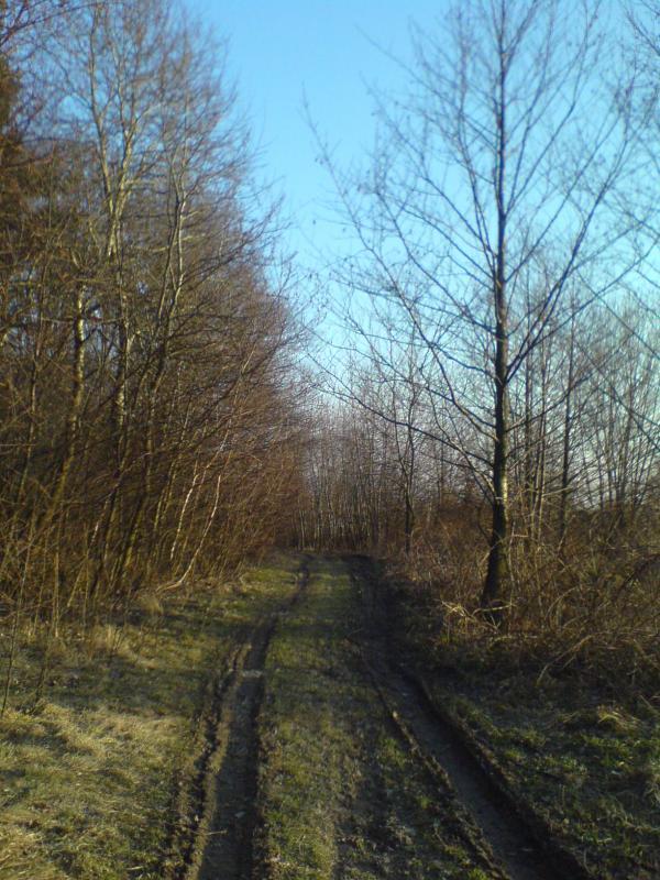 10788.jpg