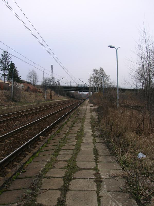 11122.jpg