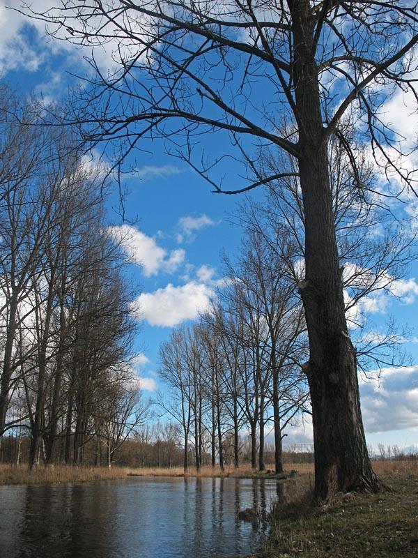 las, mazury, rzeka