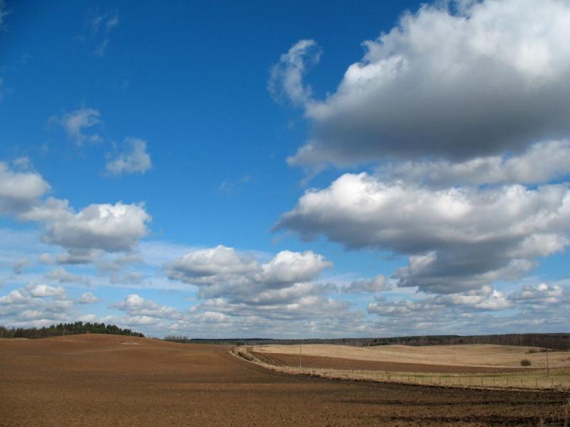 droga, mazury, pola