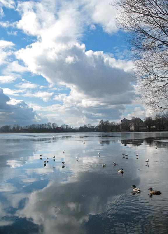 jezioro, ptaki, ełk, lód