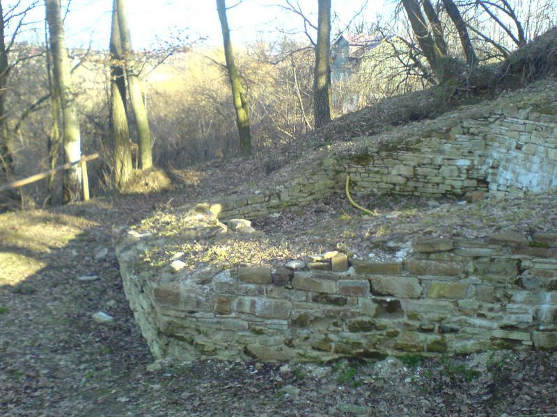 11328.jpg