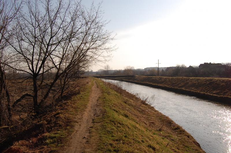 będzin, rzeka, czarna przemsza