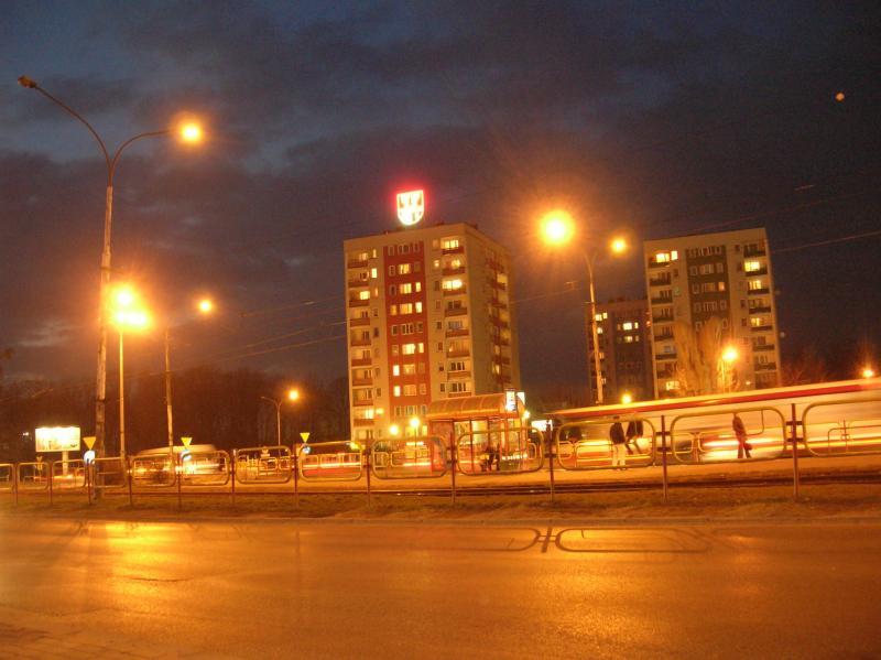 11749.jpg