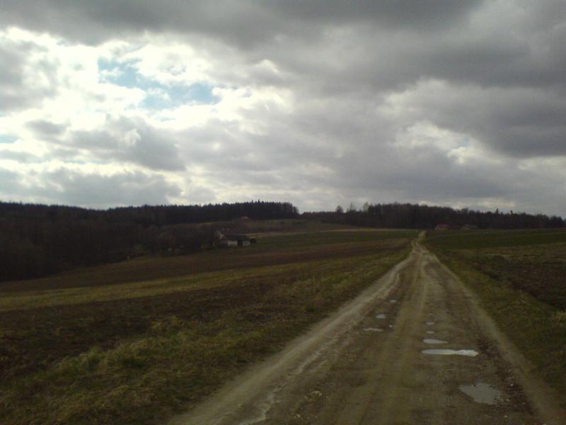 11991.jpg