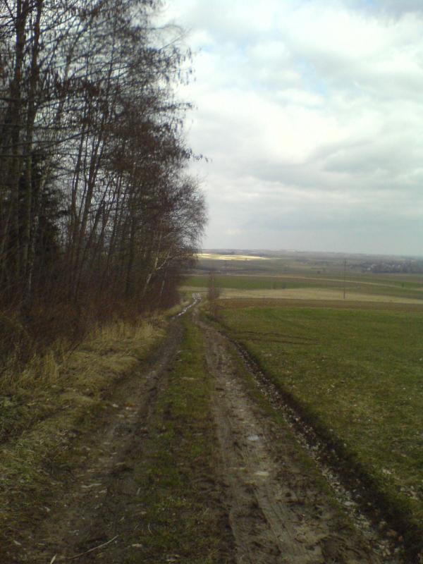 11992.jpg