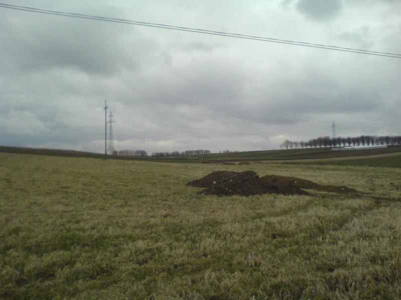 12008.jpg