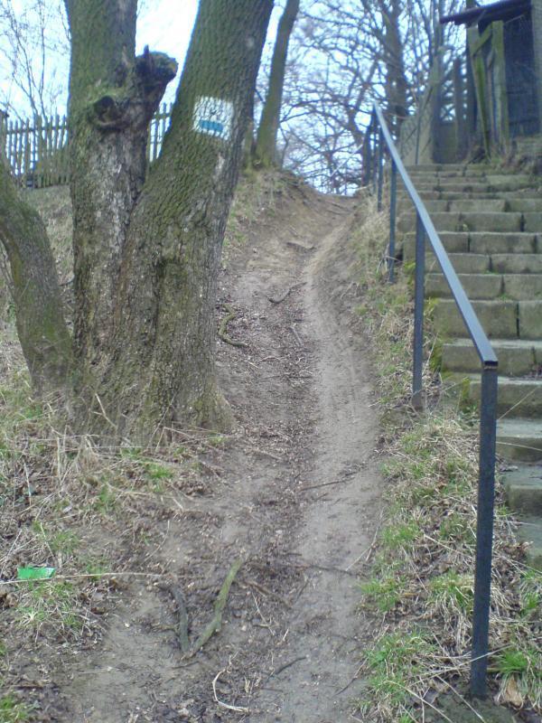 12009.jpg
