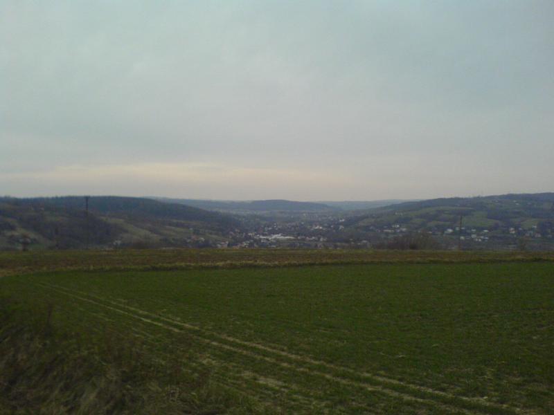 12178.jpg