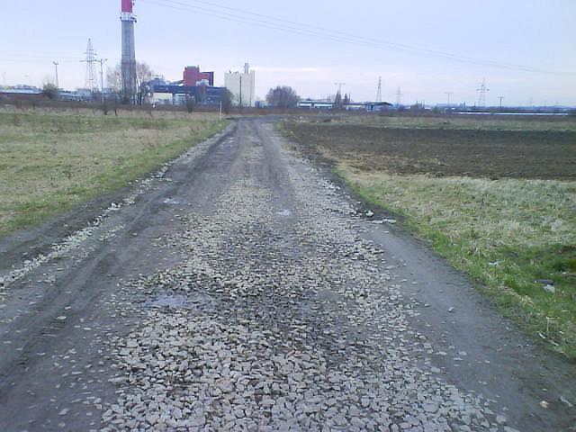 12251.jpg