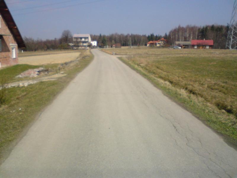 12274.jpg