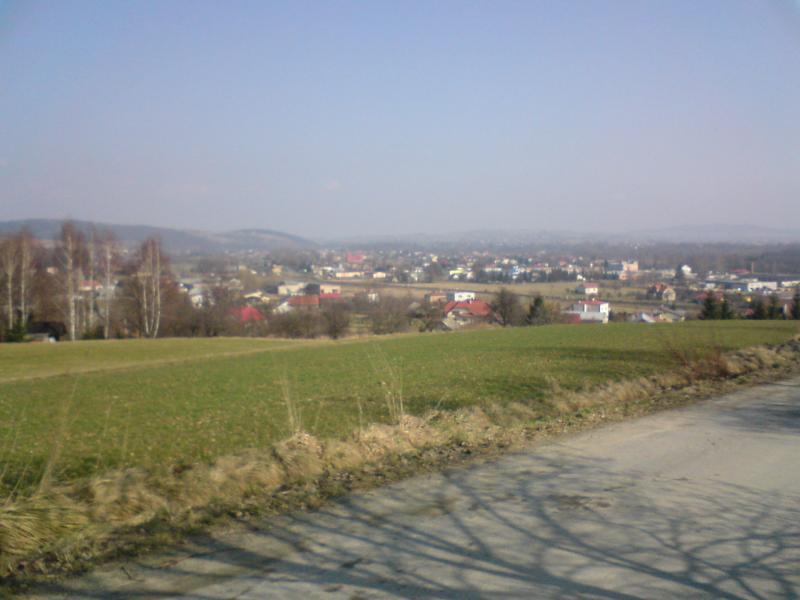 12275.jpg