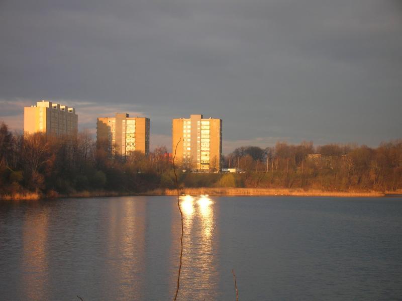 12295.jpg