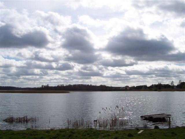 12368.jpg