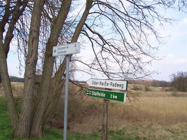 12386.jpg