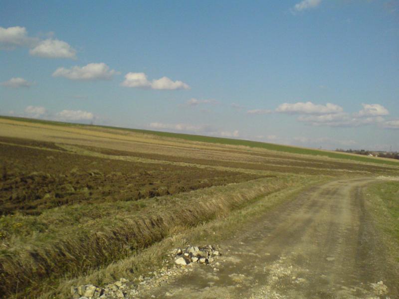 12410.jpg