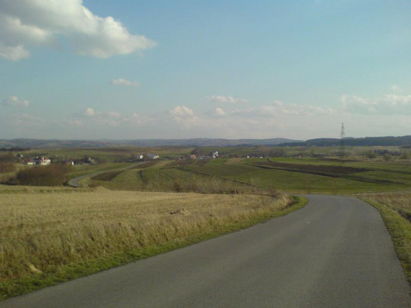12416.jpg
