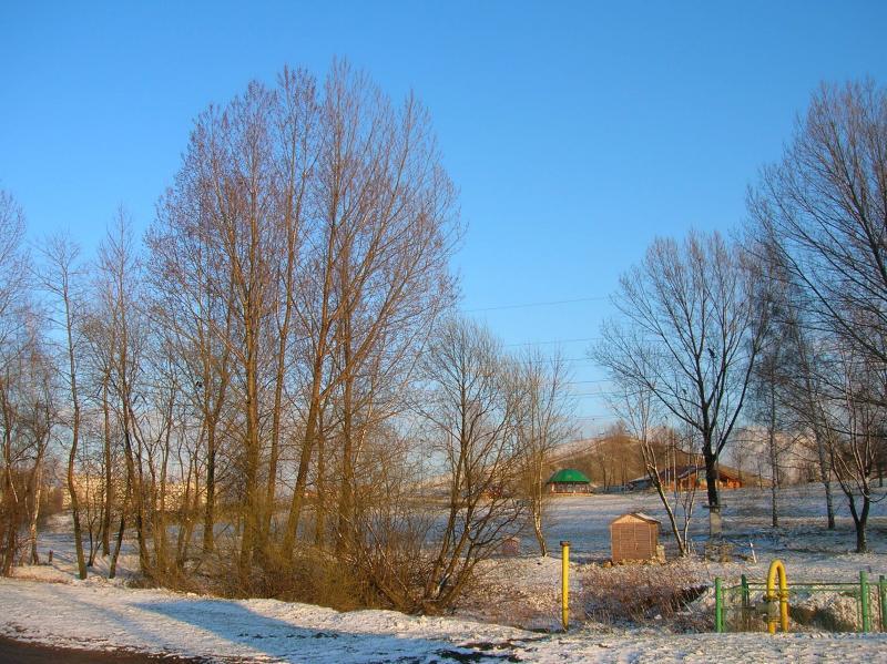12436.jpg