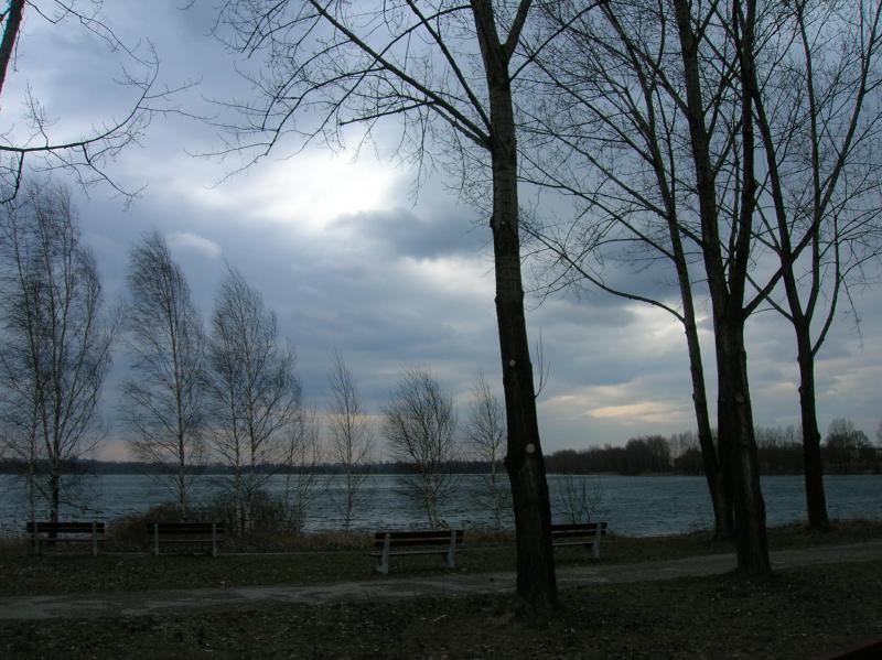 12478.jpg