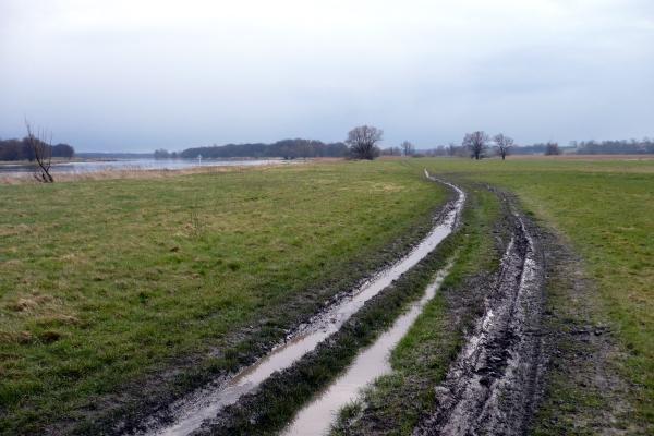 odra, błotko, niemcy, lubuskie
