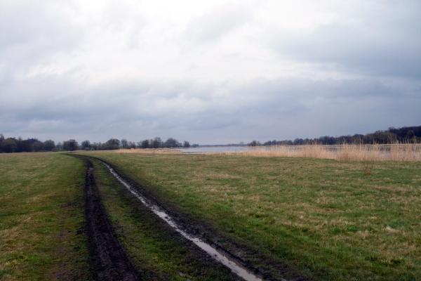 odra, błotko, niemcy, lubuskie