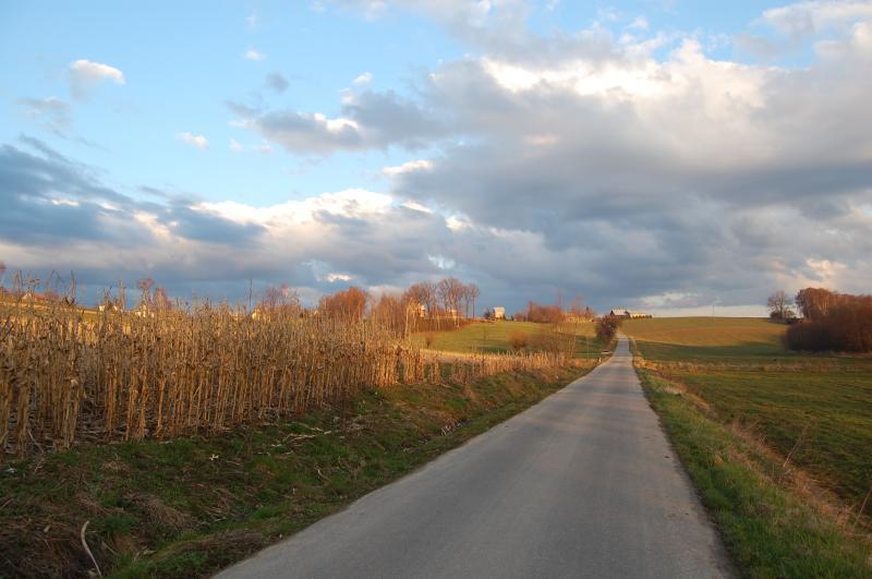 droga, krajobraz, dębno