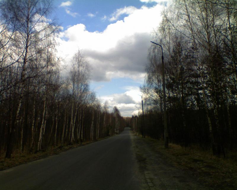 12664.jpg