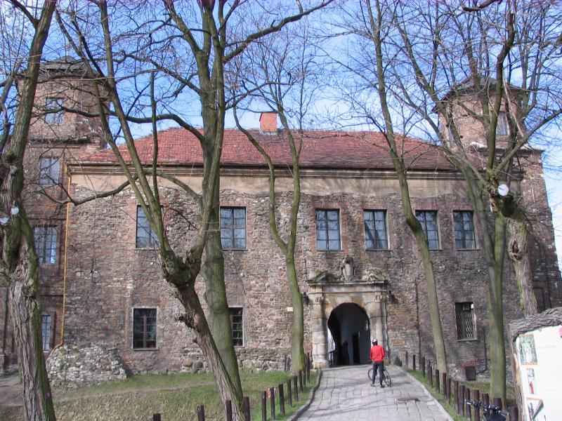 zamek, ruiny, toszek