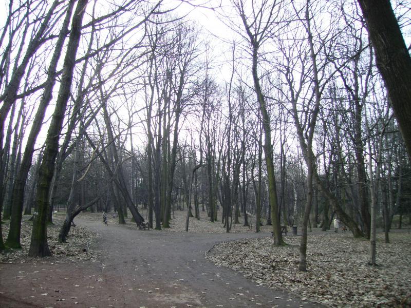 12745.jpg