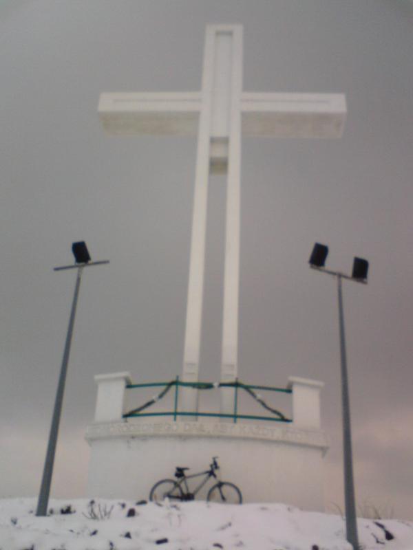 12843.jpg