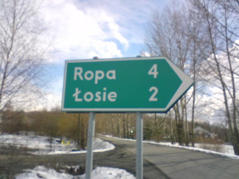 12895.jpg