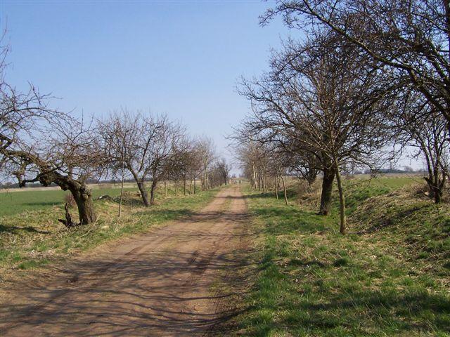 13077.jpg