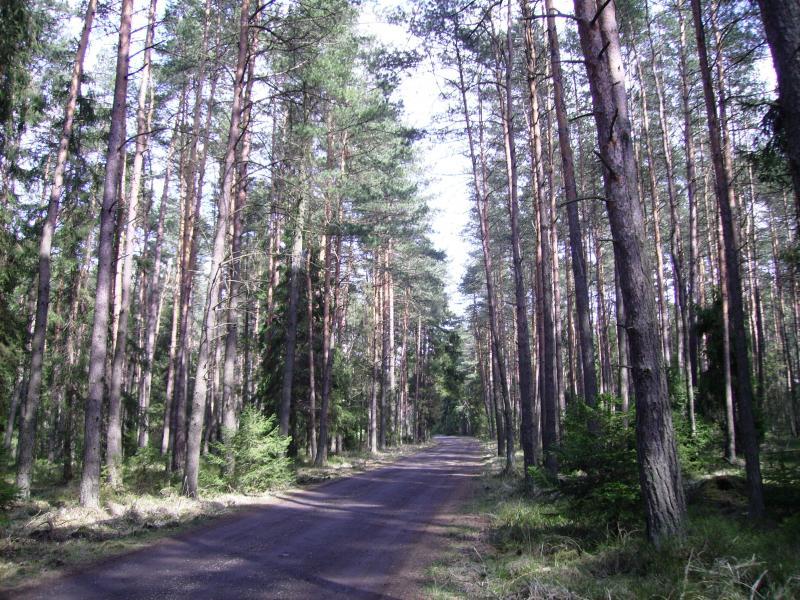 13182.jpg