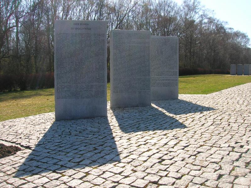 13392.jpg