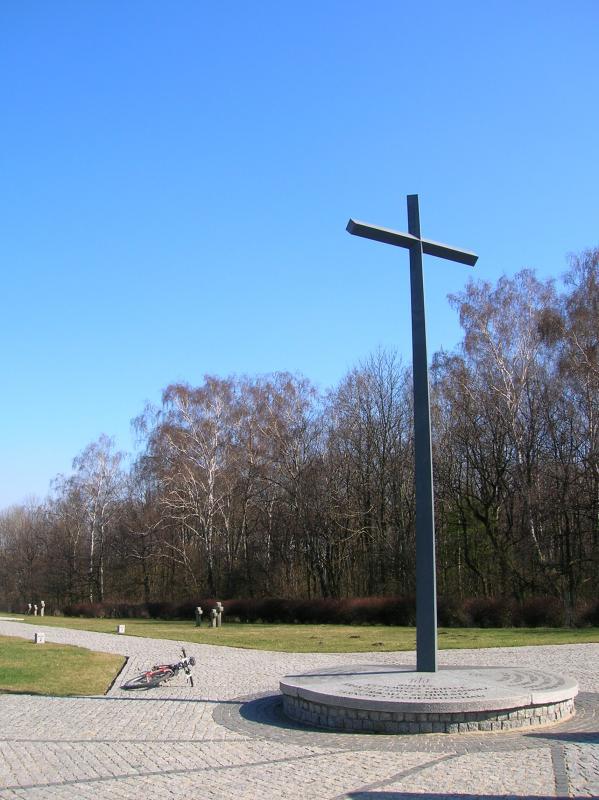 13415.jpg
