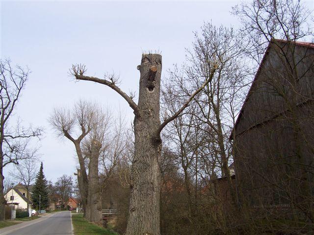 13427.jpg