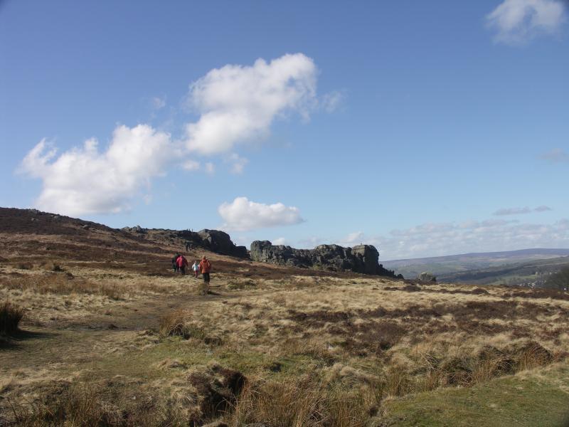 ilkley, yorkshire, west yorkshire, the cow calf
