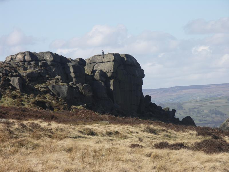 ilkley, yorkshire, west yorkshire, the cow calf