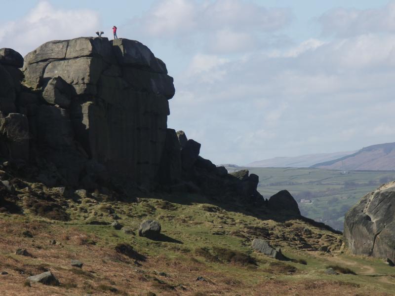 ilkley, yorkshire, west yorkshire, the cow calf