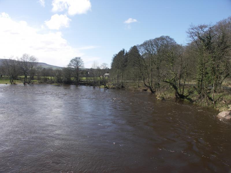 ilkley, yorkshire, west yorkshire, river wharfe