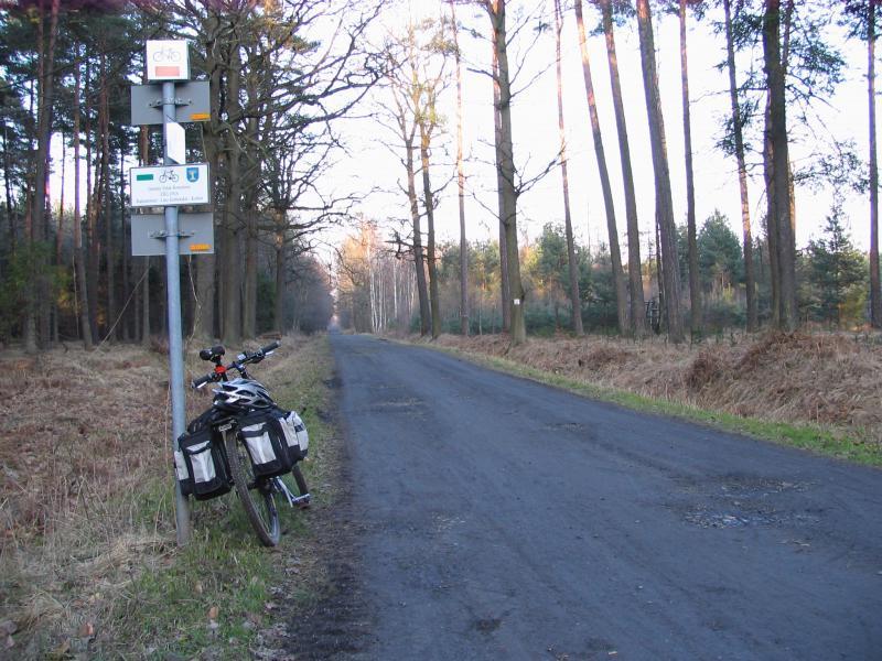 las, ścieżka, sakwy, rower