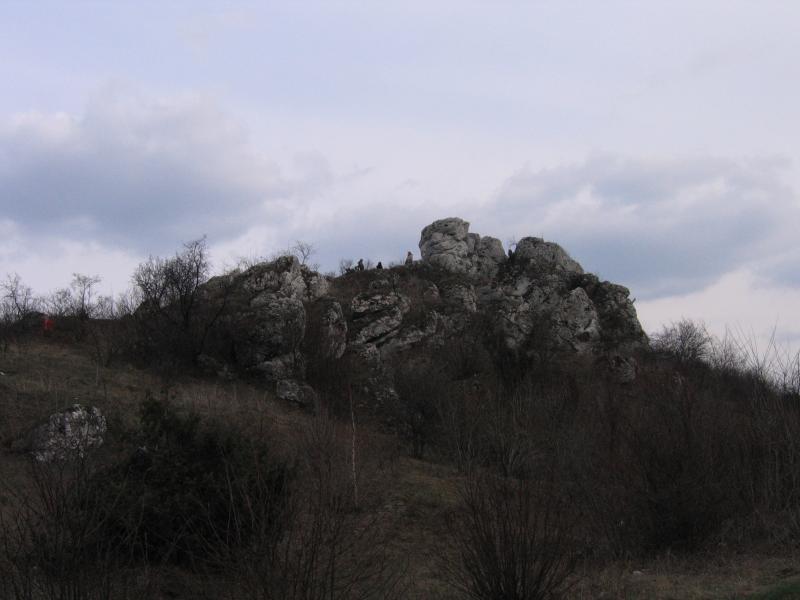 14498.jpg