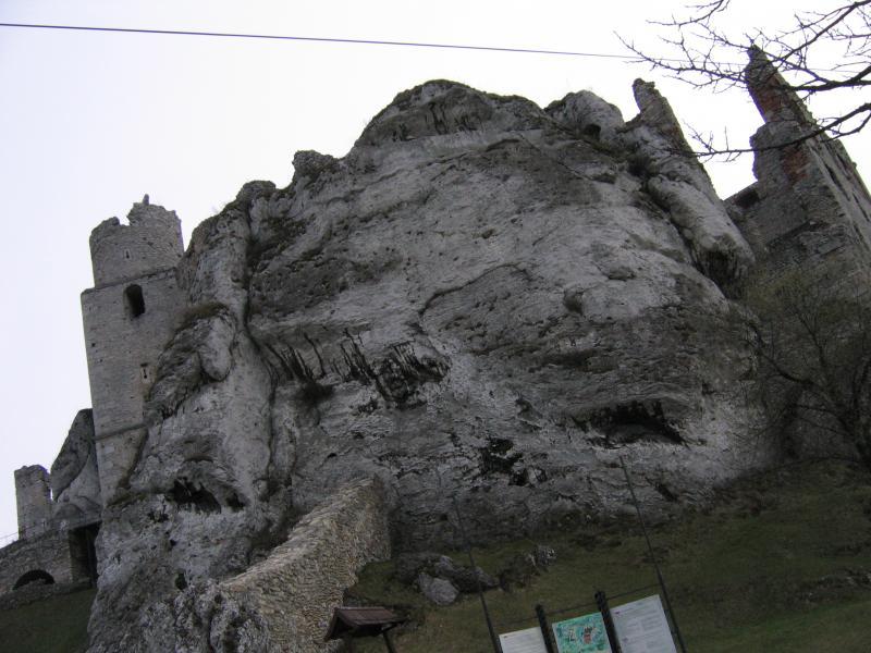 14499.jpg
