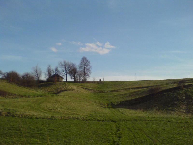 14548.jpg